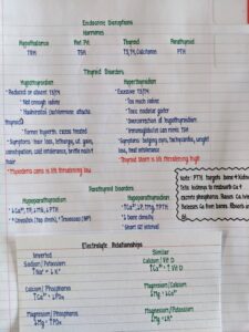 How to Pass HESI A2 Anatomy and Physiology With AI Study Tools